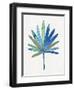 Miami Cool Palm-Filippo Ioco-Framed Art Print