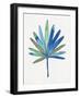 Miami Cool Palm-Filippo Ioco-Framed Art Print