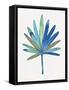Miami Cool Palm-Filippo Ioco-Framed Stretched Canvas