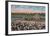 Miami, FL - View of Hialeah Park with Horse Racing-Lantern Press-Framed Art Print