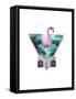 Miami Flamingo-Robert Farkas-Framed Stretched Canvas