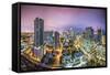 Miami, Florida Aerial View of Downtown.-SeanPavonePhoto-Framed Stretched Canvas