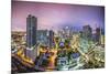 Miami, Florida Aerial View of Downtown.-SeanPavonePhoto-Mounted Photographic Print