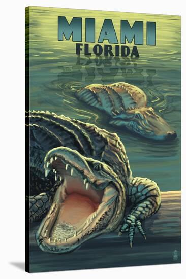 Miami, Florida - Alligators-Lantern Press-Stretched Canvas