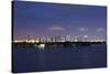 Miami , Florida: Downtown Miami at Night-Brad Beck-Stretched Canvas