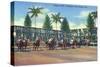 Miami, Florida - Hialeah Park; Horse Race Start Scene-Lantern Press-Stretched Canvas