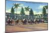 Miami, Florida - Hialeah Park; Horse Race Start Scene-Lantern Press-Mounted Art Print