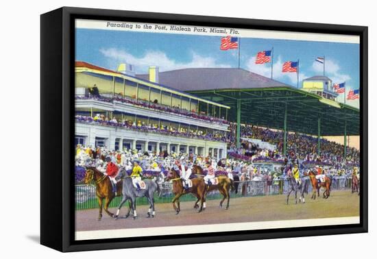 Miami, Florida - Hialeah Park; Parading to the Post Scene-Lantern Press-Framed Stretched Canvas