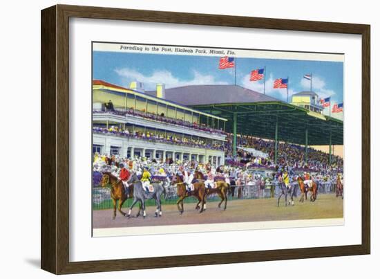 Miami, Florida - Hialeah Park; Parading to the Post Scene-Lantern Press-Framed Art Print