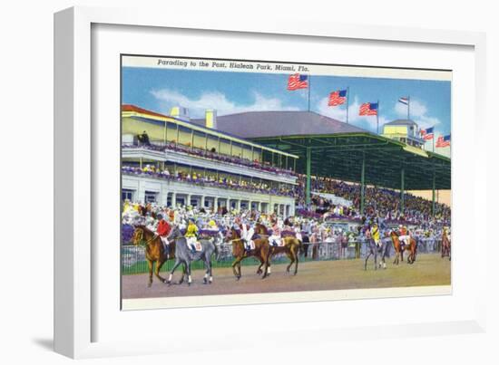 Miami, Florida - Hialeah Park; Parading to the Post Scene-Lantern Press-Framed Art Print