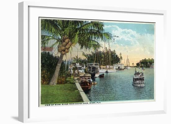 Miami, Florida - Miami River from Budge Dock-Lantern Press-Framed Art Print