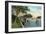 Miami, Florida - Miami River from Budge Dock-Lantern Press-Framed Art Print