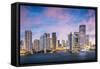 Miami, Florida Skyline at Brickell Key and Miami River.-SeanPavonePhoto-Framed Stretched Canvas