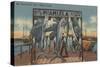 Miami, Florida - View of Pier 5 with Caught Fish-Lantern Press-Stretched Canvas