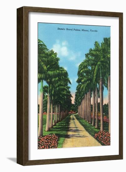 Miami, Florida - View of Royal Palms-Lantern Press-Framed Art Print