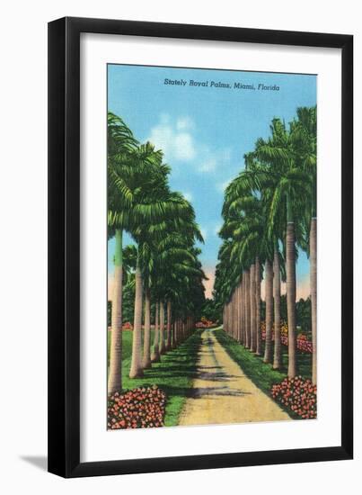 Miami, Florida - View of Royal Palms-Lantern Press-Framed Art Print