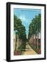 Miami, Florida - View of Royal Palms-Lantern Press-Framed Art Print