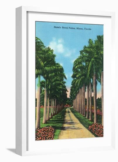 Miami, Florida - View of Royal Palms-Lantern Press-Framed Art Print