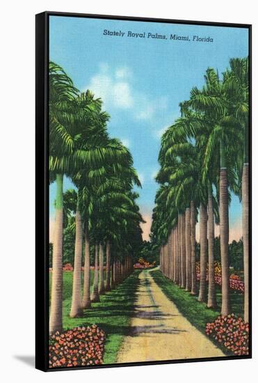 Miami, Florida - View of Royal Palms-Lantern Press-Framed Stretched Canvas