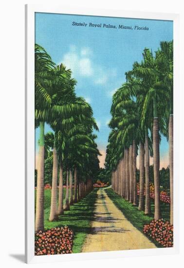 Miami, Florida - View of Royal Palms-Lantern Press-Framed Art Print