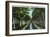 Miami, Florida - W J Matheson Estate Canal Scene at Coconut Grove-Lantern Press-Framed Art Print