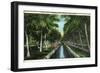 Miami, Florida - W J Matheson Estate Canal Scene at Coconut Grove-Lantern Press-Framed Art Print