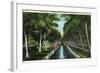 Miami, Florida - W J Matheson Estate Canal Scene at Coconut Grove-Lantern Press-Framed Art Print