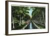 Miami, Florida - W J Matheson Estate Canal Scene at Coconut Grove-Lantern Press-Framed Art Print