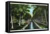 Miami, Florida - W J Matheson Estate Canal Scene at Coconut Grove-Lantern Press-Framed Stretched Canvas