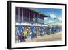 Miami, Florida - West Flagler Kennel Club Greyhound Parade before Race-Lantern Press-Framed Art Print