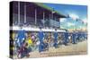 Miami, Florida - West Flagler Kennel Club Greyhound Parade before Race-Lantern Press-Stretched Canvas