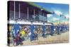 Miami, Florida - West Flagler Kennel Club Greyhound Parade before Race-Lantern Press-Stretched Canvas