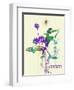 Miami Romance-NaxArt-Framed Art Print