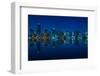 Miami Skyline at Night - Panoramic Image with Beautiful Water Reflections-badboo-Framed Photographic Print