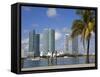 Miami Skyline, Florida, United States of America, North America-Richard Cummins-Framed Stretched Canvas