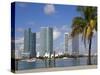 Miami Skyline, Florida, United States of America, North America-Richard Cummins-Stretched Canvas