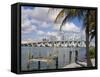Miami Skyline, Florida, United States of America, North America-Richard Cummins-Framed Stretched Canvas
