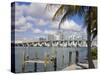 Miami Skyline, Florida, United States of America, North America-Richard Cummins-Stretched Canvas