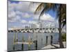 Miami Skyline, Florida, United States of America, North America-Richard Cummins-Mounted Photographic Print