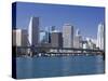 Miami Skyline, Florida, United States of America, North America-Richard Cummins-Stretched Canvas