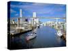 Miami Skyline from Bay, Florida-null-Stretched Canvas