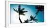 Miami Vibes-Malcolm Sanders-Framed Giclee Print