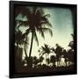 Miami Vintage I-Tony Koukos-Framed Giclee Print