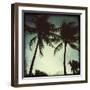 Miami Vintage II-Tony Koukos-Framed Giclee Print