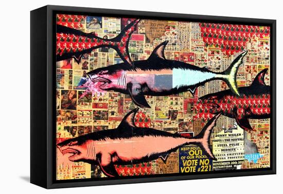 Miami-Shark Toof-Framed Stretched Canvas