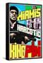 Miamis Narcotic Kingpin-Cristian Mielu-Framed Stretched Canvas