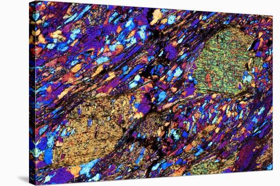 Mica Schist, Thin Section, Polarised LM-PASIEKA-Stretched Canvas