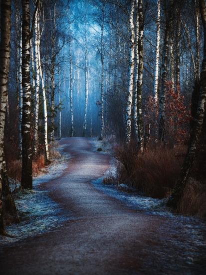 Photographic Print, , large