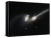 Mice Colliding Galaxies-null-Framed Stretched Canvas