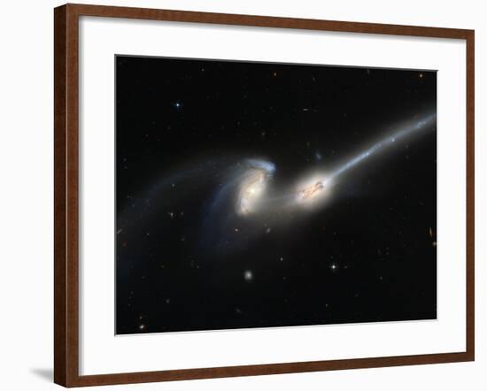 Mice Colliding Galaxies-null-Framed Photographic Print